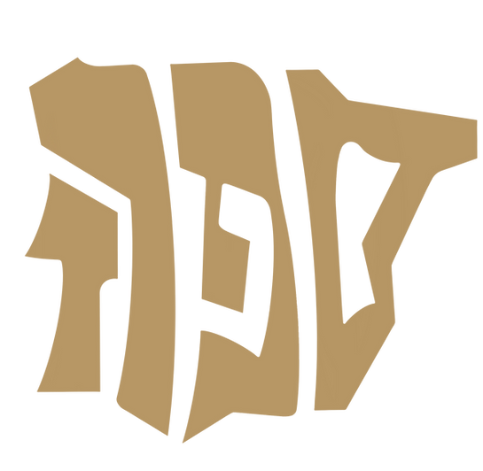 IMG_20250623_172539_822.PNG