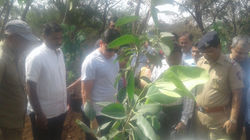 पीएमसी आयुक्त सौरभ राव यांच्यासह वृक