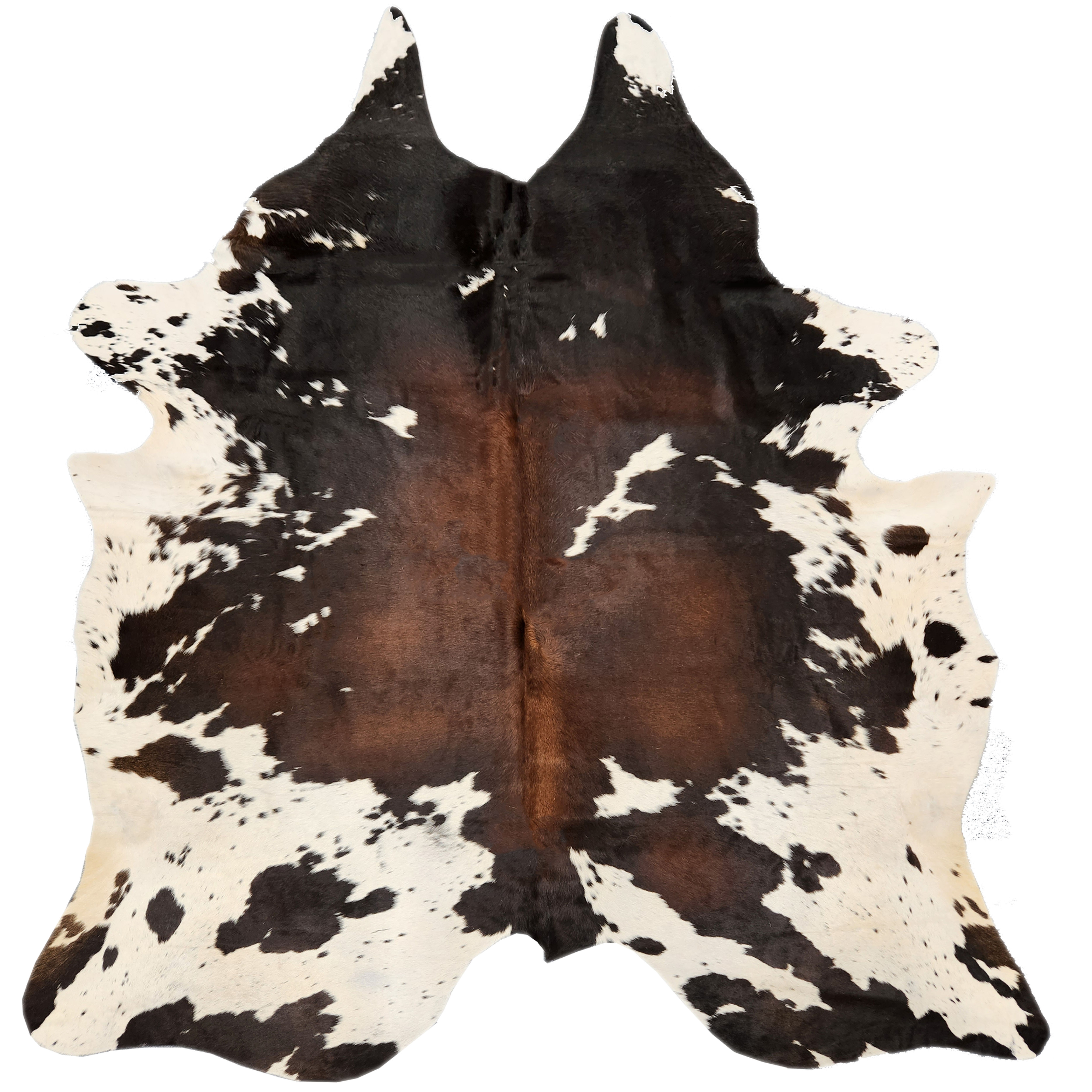 One-of-a-kind Brown & White Brazilian Cowhides