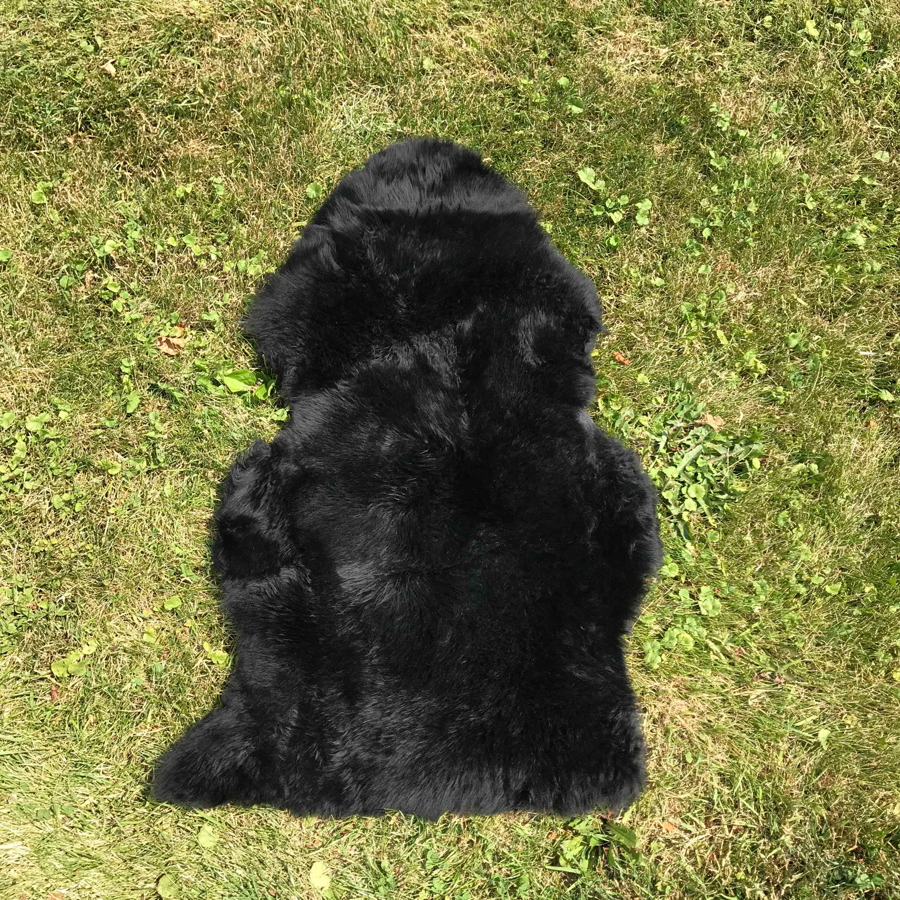 Australian Sheepskin Single Black 2'x3'