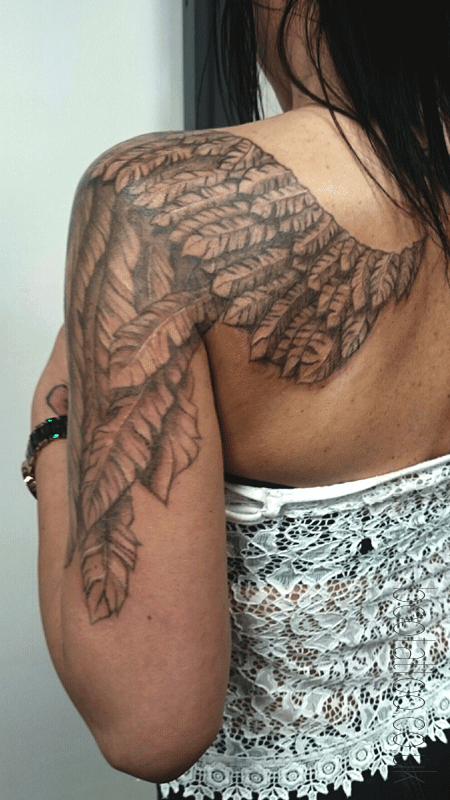 smooth shaded wing