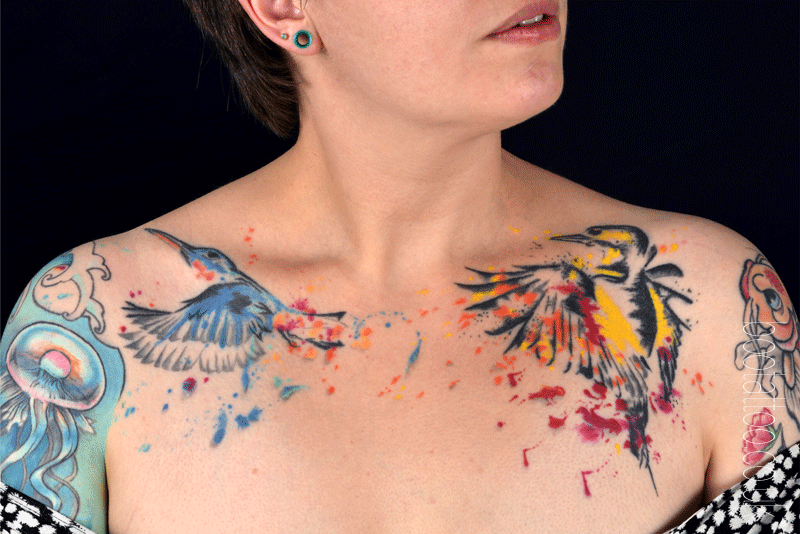 kingfisher and woodpecker