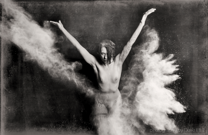 David Craig Ellis Photography