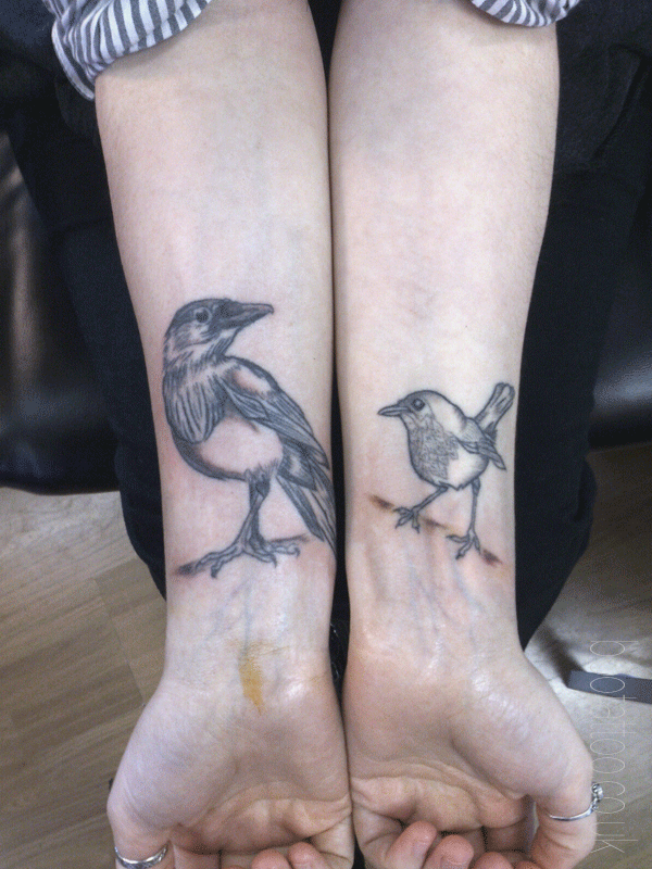 magpie and robin