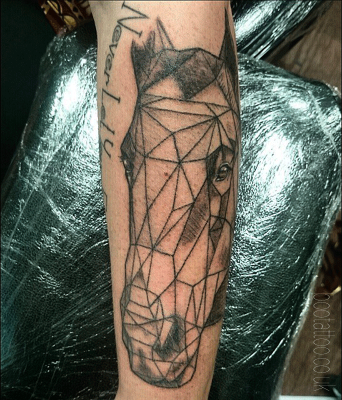 Geometric horse