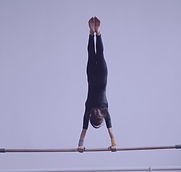 Gymnast on a Bar _edited.jpg