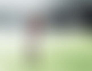 Uma simples homenagem ao maior jogador de todos os tempos, Zico, parabéns!