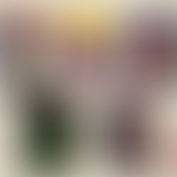 livros favoritos da geração z