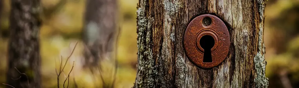 2560x760_Header_Privacy.webp