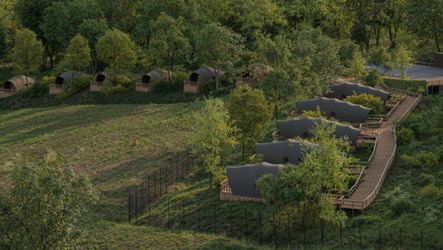 Port Lympne Hotel & Reserve Unveils 'Lion Lookout' -

Immersive New Accommodation Experience Plans