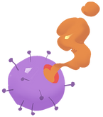 Teewa fruits 2_edited.png