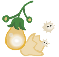 Teewa fruits 3_edited.png
