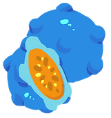 Teewa fruits 3_edited.png