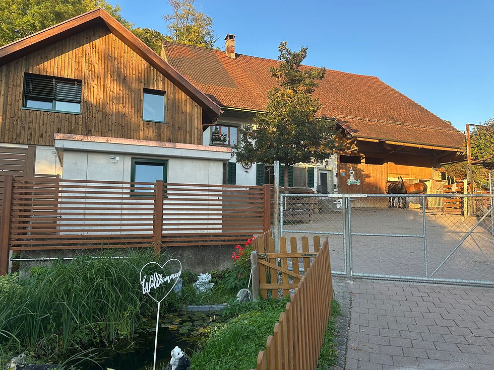 Ein Hoch auf unsere Patinnen und Paten