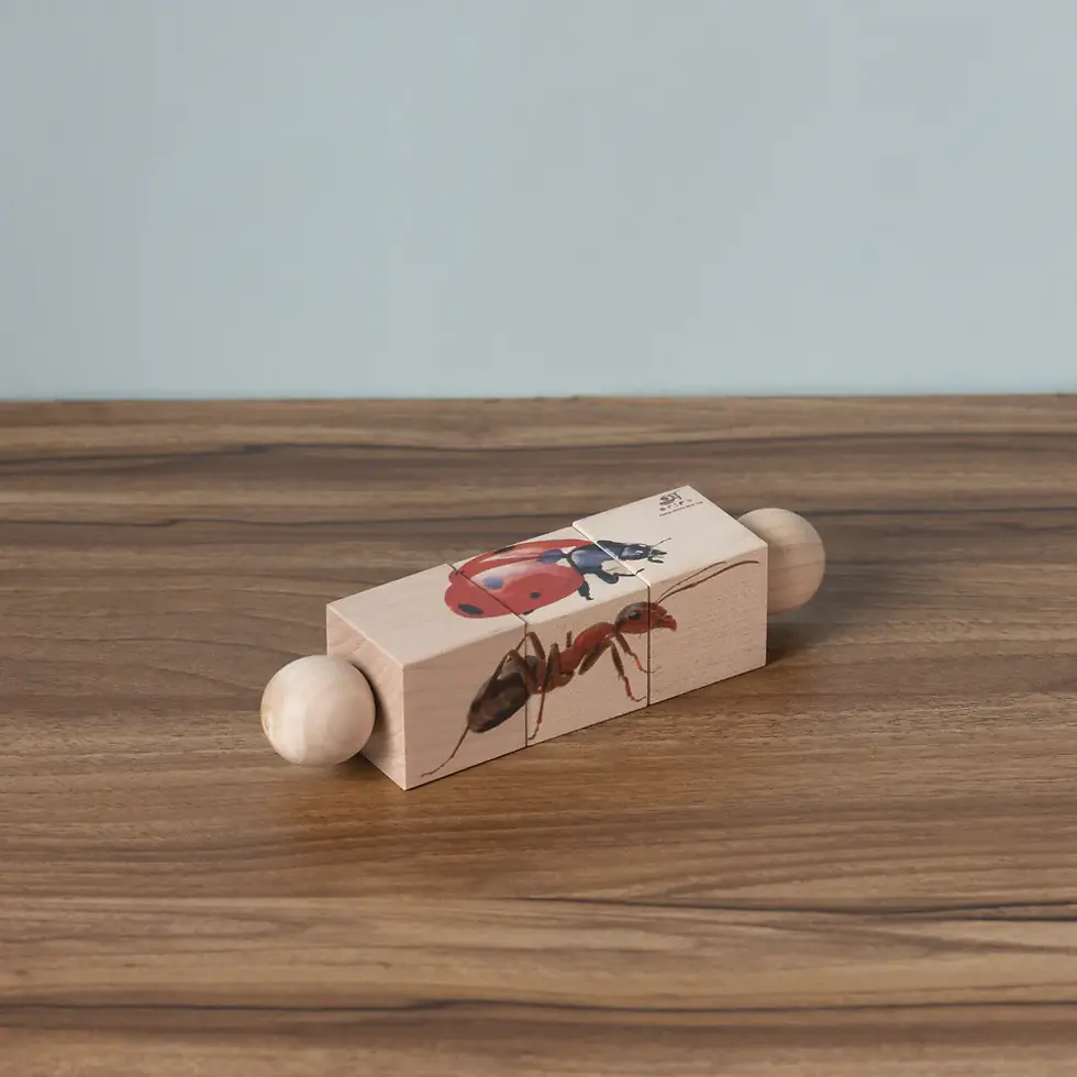 Ariro's Rotating Puzzle – Mammals