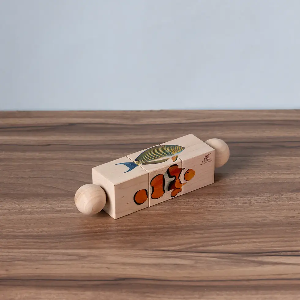 Ariro's Rotating Puzzle - Fish