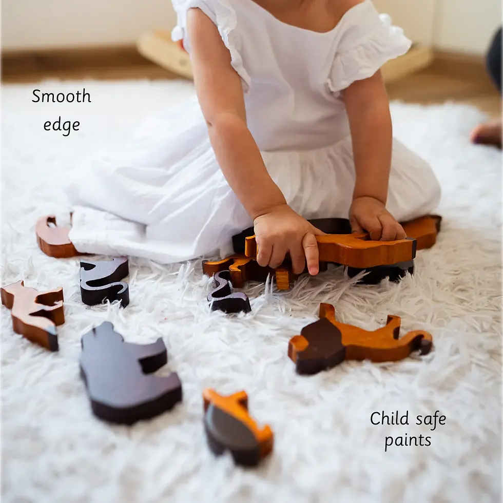 Ariro's Wild Animals (Set of 12)