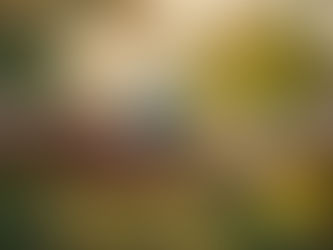 The Future Belongs to Our Children