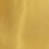 gold color with texture.jpg