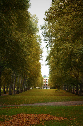 DSC_0116-01.jpeg