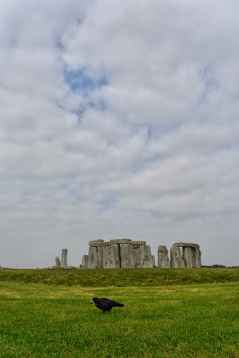 DSC_0029-02.jpeg