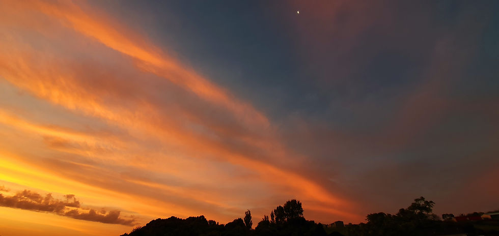 20191204_203457.jpg