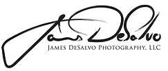 James DeSalvo logo.png