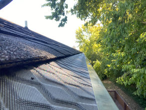 How to Prevent Gutter Clogs and Overflows
