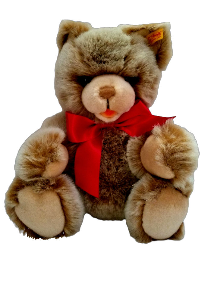 Thumbnail: Bear view image 3