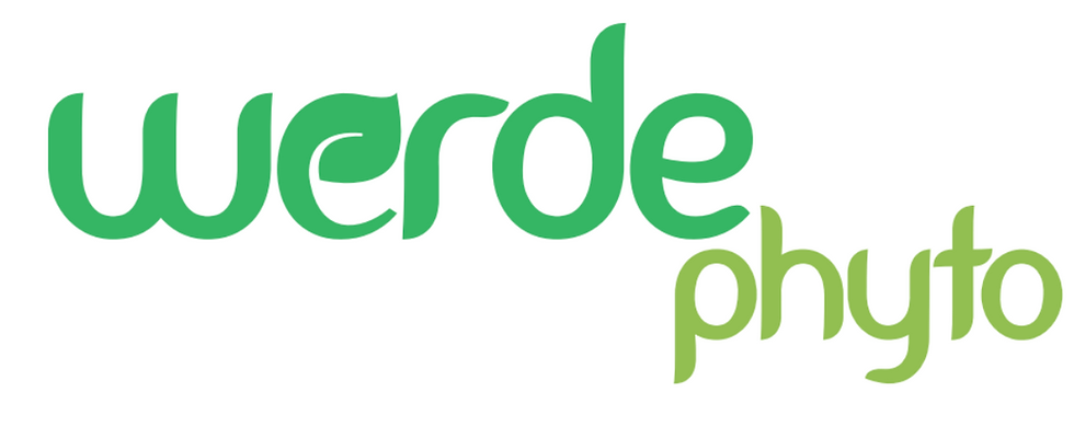 Logo Werde Phyto Wirkilich.png