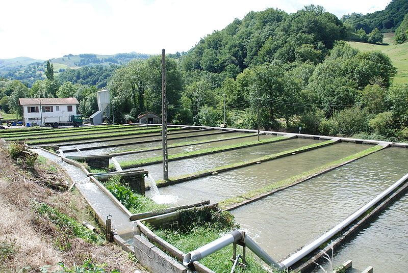 PÊCHES ET ELEVAGES