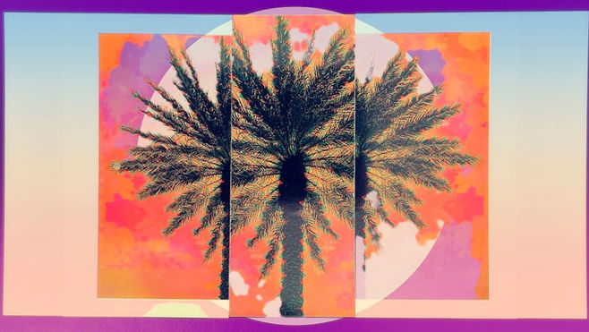 13. Stylized digital image of a palm tree centered against a bright pink, orange, and purple background. Geometric overlays and pixelated textures create a vivid, graphic composition.
