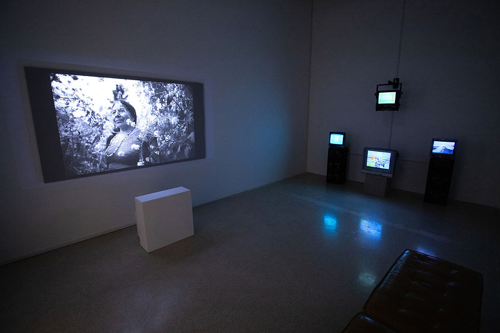 Installation view of artwork by Jazmin Garcia and IBARRA.