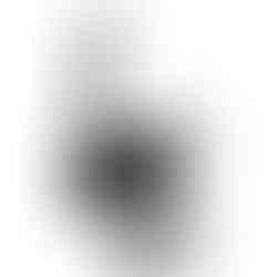 Zoom F2 (32-Bit Float)