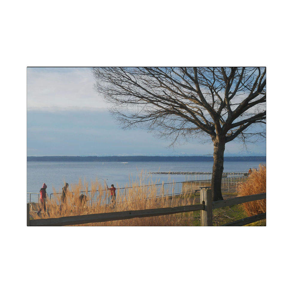 Thumbnail: REAL Waterfront View P1160281 (Stretched Canvas)
