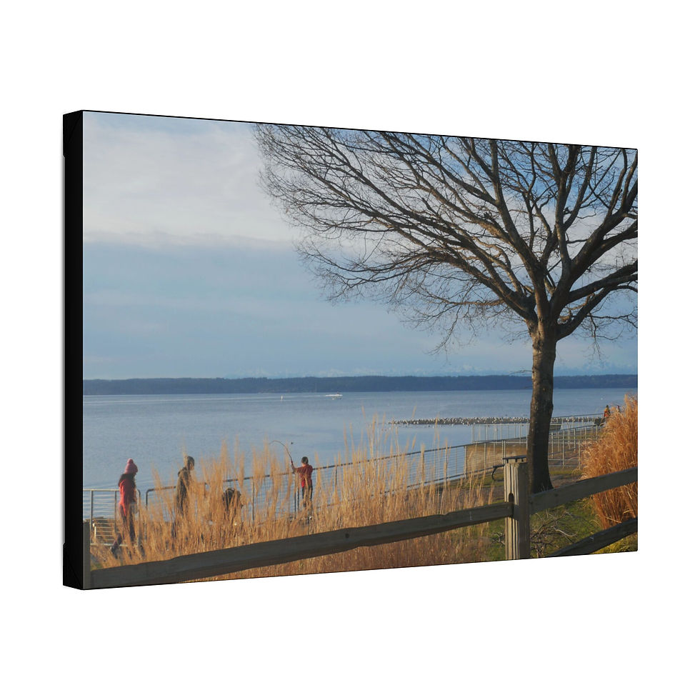 Thumbnail: REAL Waterfront View P1160281 (Stretched Canvas)