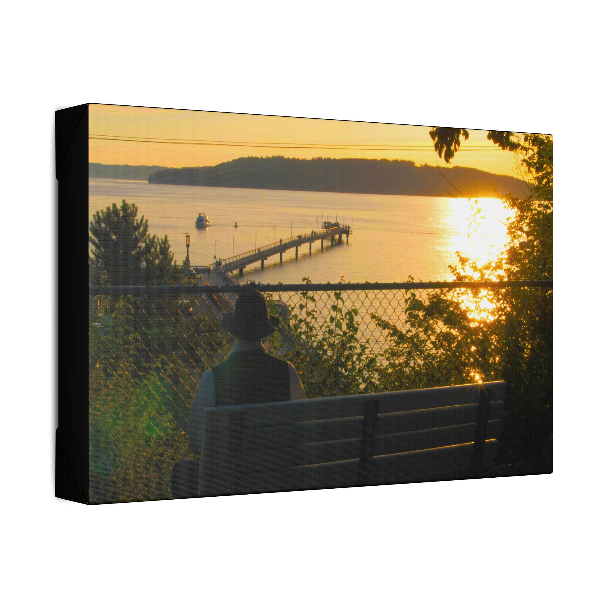 Marina From Behind Park Bench P1011322 (Stretched Canvas)