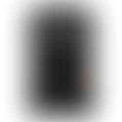 Panasonic Eneloop Pro AAA