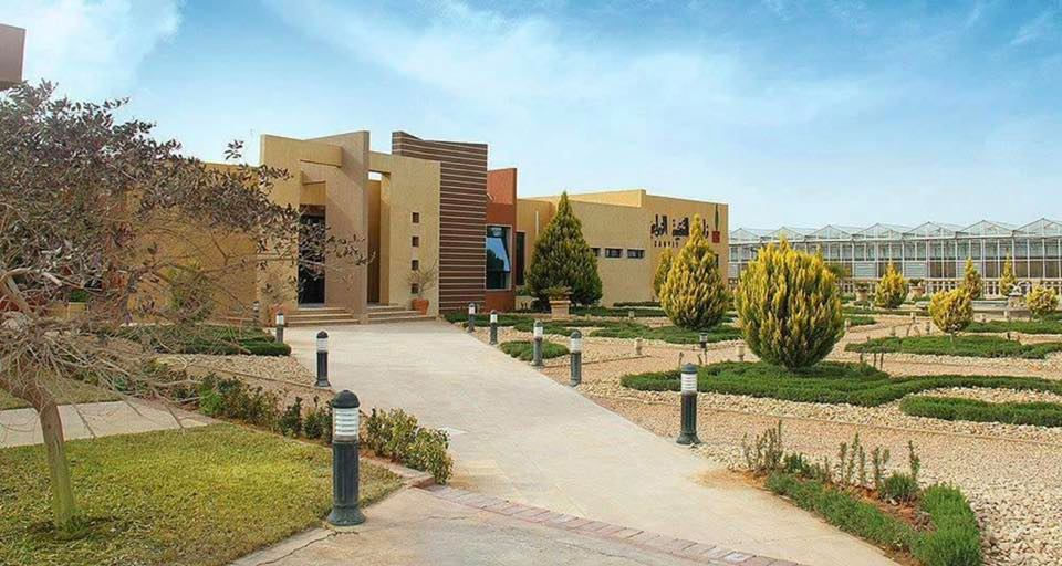 117743266_1804798492992670_2465097366913692808_n