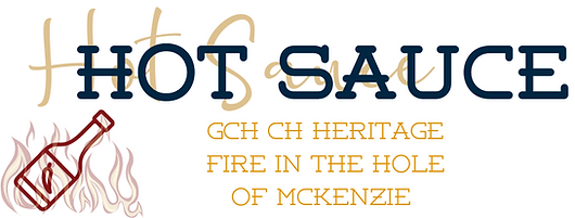 Hot Sauce-2.png