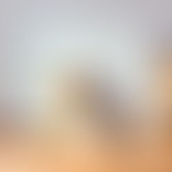 Moving boxes and personal belongings packed up at the end of a tenancy, ready for final inspection and bond return.