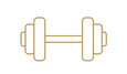 loss-muscle-mass-dumbbell.png