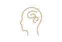 brain-fog-head.png
