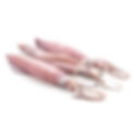 Squid 