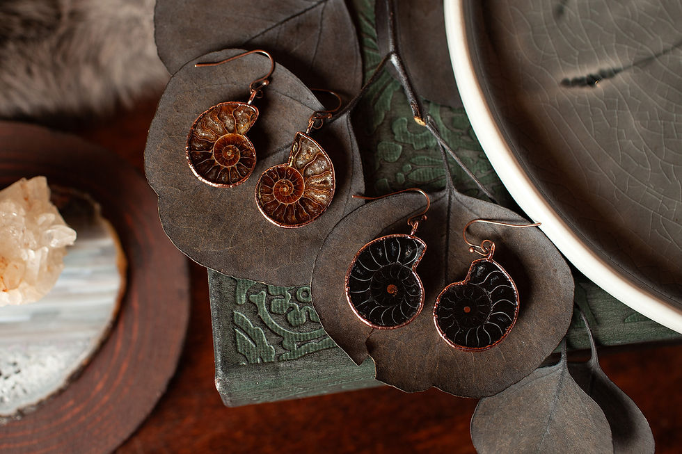 Thumbnail: Ammonite Fossil Dangle Earrings