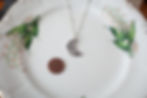 Thumbnail: Nature Moon Pendant