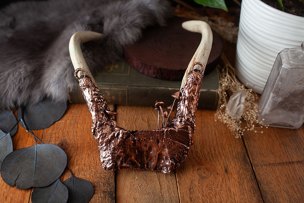 Thumbnail: Deer Antler Wall Decor