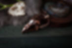 Thumbnail: Bird Skull Statement Necklace