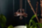 Thumbnail: Dragonfly Necklace With Smoky Quartz