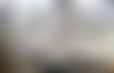 3期目の胡蝶蘭の開花
